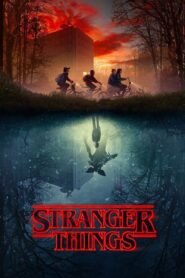 Download Stranger Things S01 Complete In Hindi