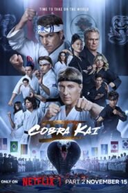 Cobra Kai Season 6 Complete Part 2 Hindi Dubbed